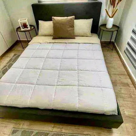 公寓 Modern 3bdr In Acropolis-nicosia
